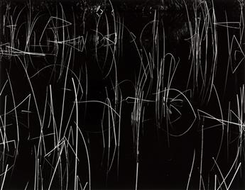 BRETT WESTON. Photographs from Five Decades.